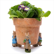 Buy Potty Feet - Beatrix Potter Set 1 (Peter Rabbit)