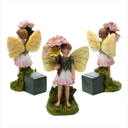 Buy Potty Feet - Daisy Fairy (Set Of 3)