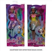 Buy Barbie A Touch of Magic Character assorted (Sent At Random)