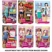 Buy Barbie Careers Playset Assorted (Sent At Random)