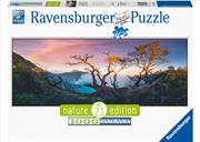 Buy Acid Lake at Mount Ijen, Java 1000 Piece