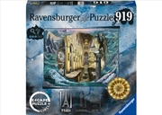 Buy Escape - The Circle - Paris 919 Piece