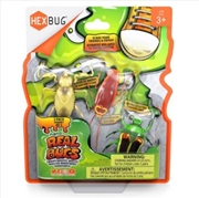 Buy Hex Bug Nano Real Bugs 3pk
