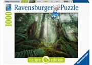 Buy In The Forest 1000 Piece