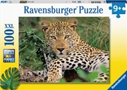 Buy Lounging Leopard 100 Piece