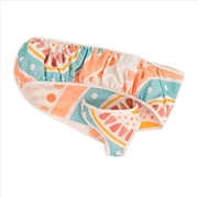 Buy Baby Doll Carrier