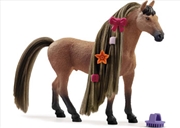 Buy Beauty Horse Akhal-Teke Stallion