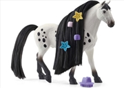 Buy Beauty Horse Knabstrupper Stallion