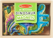 Buy Dinosaur Magnets - 20pc