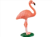 Buy Flamingo