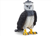 Buy Harpy Eagle
