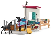 Buy Horse Box With Mare And Foal