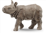 Buy Indian Rhinoceros Baby