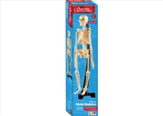 Buy Mini-Skeleton 46cm