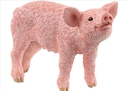 Buy Piglet