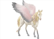 Buy Sunrise Pegasus