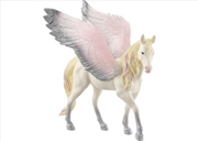Buy Sunrise Pegasus