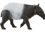 Buy Tapir