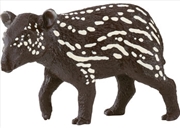 Buy Tapir Baby