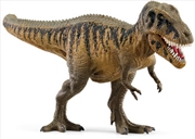 Buy Tarbosaurus