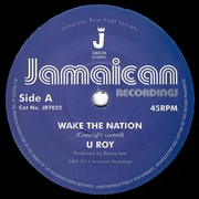 Buy Wake The Nation / Non Violence
