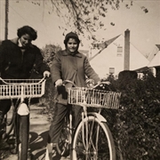 Buy Quartet Plus Two (Opaque/Pink Swirl)