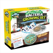 Buy Bacteria Growing Kit