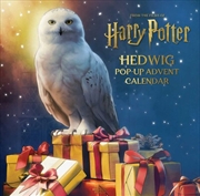 Buy Harry Potter: Hedwig Pop-Up Advent Calendar 