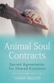 Buy Animal Soul Contracts