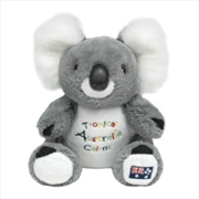 Buy 22cm Koala W/Embroidery - Cairns