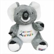 Buy 22cm Koala W/Embroidery - Canberra