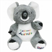 Buy 22cm Koala W/Embroidery - Canberra