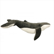 Buy 45cm Humpback Whale