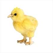 Buy Chick 12cm H