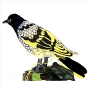 Buy Regent Honeyeater 25cm L