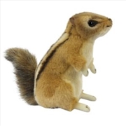 Buy Chipmunk 23cm L