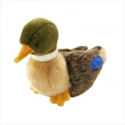 Buy Duck Baby 19cml