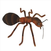 Buy Ant 25cm W