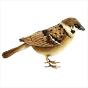 Buy Tree Sparrow 13cml