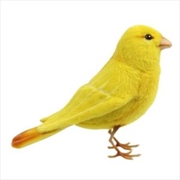 Buy Yellow Canary 13cml