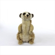 Buy Meerkat Sitting 22cm H
