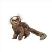 Buy White Eared Marmoset 23cm L