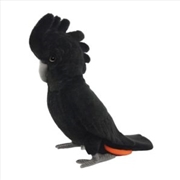 Buy Black Cockatoo (Red Tailed) 35cm L