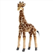 Buy Giraffe 50cm H