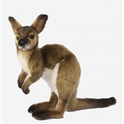 Buy Wallaby 33cm H
