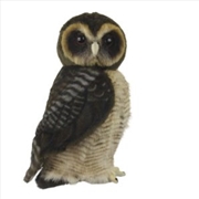 Buy Asian Brown Wood Owl 28cm H