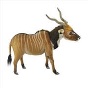 Buy Western Giant Eland 54cm L