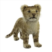 Buy Lion Cub Standing 40cm L