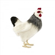 Buy French Hen 38cmh