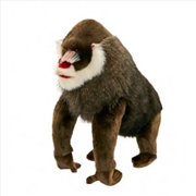 Buy Mandrill 44cm